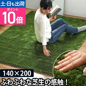 ���O �V���M�[���O �O���X���O �X�J���W�i�r�A�i�C�g���O �A�[�o���A�b�V�����O ���O�}�b�g 140×200 �~�� �J�[�y�b�g ���g�[ �z�b�g�J�[�y�b�g �Ή� �Ő���