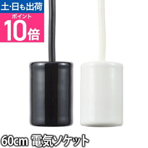 y_gCgpd SWAN BULB Xou dC\Pbg 60cm |V[O  \PbgR[h