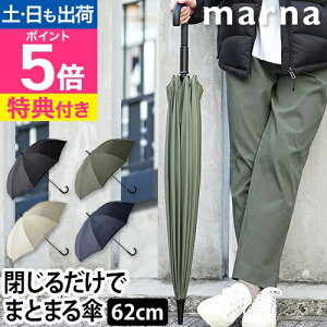 }[i yIׂ2Tz P Vpbg Au 62cm JP P Jp 肪GȂ ߂ xgȂ fB[X Y jp n  킢 Vv  l XC