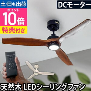 yIׂ鍋ؓTzV[Ot@Cg V[Ot@ DC[^[ AEbh u[h Ɩ k  R ؖ CeAƖ VR Modern Collection REAL wood blades JE-CF044