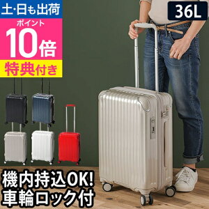 �g���I �J�[�S AiR STAND �X�[�c�P�[�X CAT558ST �f�j���u���[ 36L