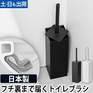 gCuV  tidy v^tH[gC RpNg gC| |p