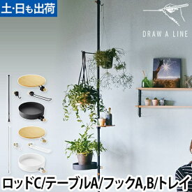 ドローアライン 突っ張り棒 おしゃれ ベーシックセット2 003 テンションロッドC 006 テーブルA 012 フックA 015 フックB 019 トレイ つっぱり棒 伸縮 収納 コートハンガー 観葉植物 玄関収納 テーブル 玄関 リビング 寝室 キッチン DRAW A