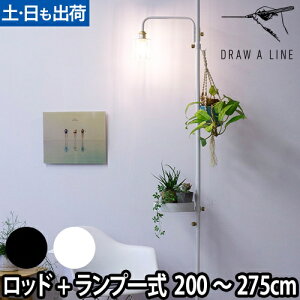 tACg h[AC 3_Zbg 003eVbhC { 201vA[S { 204C[VF[h CeACg Ɩ ς_  c LEDΉ DRAW A LINE Lamp