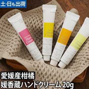 Q CX`[nhN[ 20g QYk̍ Mq ɗ\ g܂ǂ ˓EG[֔z