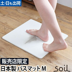 oX}bg ]y { soili\Cj GEM oX}bg y MTCY z Ђ  C }bg @}bg ̔X 胂f AXxXgsgp