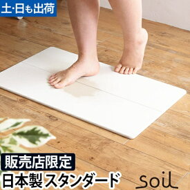 ソイル ジェム バスマット 吸水 スタンダード アスベスト不使用 珪藻土バスマット 珪藻土マット マット 足ふきマット 足拭きマット 足拭き お風呂マット珪藻土 速乾 吸収 大きめ 大判 日本製 両面 風呂場 お風呂 バスグッズ 安全 丈夫 soil GEM
