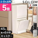 ソロウ 【選べる特典】 ゴミ箱 スリム 通路で使えるペダル分別ストッカー 2段 ペダル式ゴミ箱 ダストボックス 45リッ…