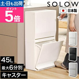 ソロウ 【選べる特典】 ゴミ箱 スリム 通路で使えるペダル分別ストッカー 2段 ペダル式ゴミ箱 ダストボックス 45リットル おしゃれ ふた付き 袋が見えない リビング 大容量 縦型 2分別 3分別 空き缶 足踏み 薄い ビン ペットボトル キッチン シンプル 日本製 SOLOW