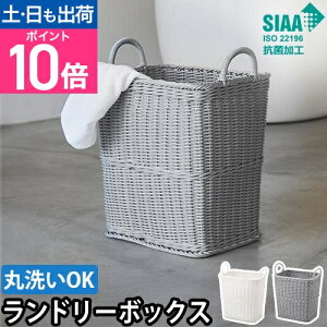 L[l JS h[{bNX 3P010 E߂ 󕨂 h[obO oXPbg 󕨓 h[[ R    킢 ^ e ^ 