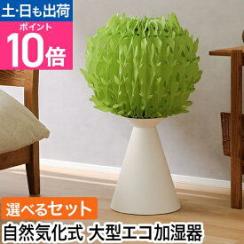 ミクニ エコ 加湿器 エコロジー加湿器 ミスティツリー 本体／本体＋交換フィルターセット ペーパー加湿器 大容量 お手入れ簡単 かわいい おしゃれ 電源不要 電気使わない コードレス 部屋 寝室 リビング オフィス 和室 気化式 ベッドサイド 日本製 おすすめ 年中使う