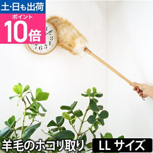 ق nfBbv rт̃zR E[_X^[ LLTCY ͂ _X^[ Cp[ Ebh i` VR 