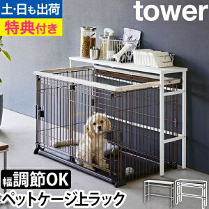 yyV2ʁzyIׂ2TzR LkybgP[WドbN ^[ 4086 4087 ybgpbN I e[u VFt ^ ybg   P[W gݗ X  w 