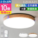 【楽天1位】【交換フィルターと選べる特典付】 uzukaze3 シーリングファン ウズカゼ 3 LED シーリングファンライト FC…