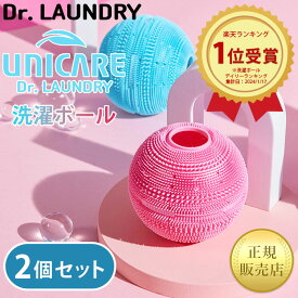 【2個セット】洗濯ボール ランドリーボール 専用フィルター 洗剤不要 節水 洗濯機に入れるだけ 予洗い不要 ペットの毛 犬 猫 髪の毛 ホコリ 糸くず取り 4400本 シリコン 極細毛 手洗い効果 血液汚れ 除去 抗菌 消臭 乾燥 時短 脱水効率 向上 ドラム式 縦型 乾燥機 敏感肌