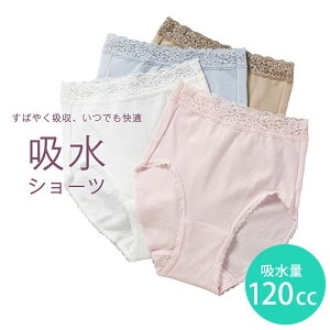 EFhC y֑΍V[c 120cc p z EGhC SV[c { ČJԂg G肪悢 ڗȂ z AR RK[h RȗSn A