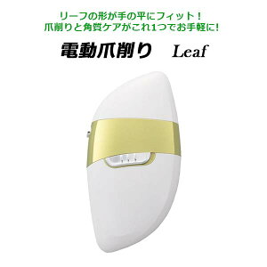 Leaf [t d ܍ ܐ؂ ܂₷ pPA  ܃PA lCPA ^ RpNg y lp wp