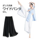 ダンス衣装 パンツ ワイドパンツ シースルー ミモレ丈 10分丈 ロング 透け ヒップホップ ガールズ ジャズ 社交 ダンス 服 衣装 発表会 レディース 韓国 スカッツ ホワイト 白 黒 ブラック M L