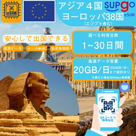 eSIM ヨーロッパ38国 アジア4国 エジプト含む 3~30日間 データ無制限 1GB 5GB 10GB 20GB 高速 データ通信専用 プリペイドeSIM RメッセージでQRコード送信 simカード 一時帰国 留学 短期 出張 有効期限/2024年12月31日 使い捨て