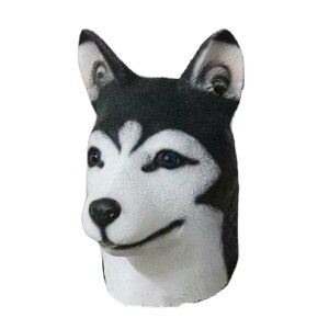 Aj}}XN NEW nXL[ w w RXv nEB NX}X  