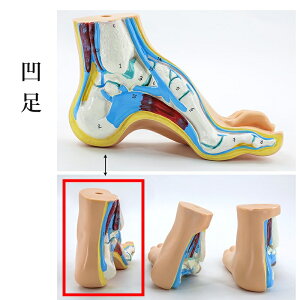 f ֐ ͌^ f ͌^ if l  Uw o }bT[W f { wZ    푫 Ε 