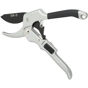 ͙΂ 3{̏ȗ SK-5|n΂ ؂ꖡQoT~ ϋv̂鉀| ̖ ʎ ~͙蓹 |Ƃ̙ }؂΂ SbNt