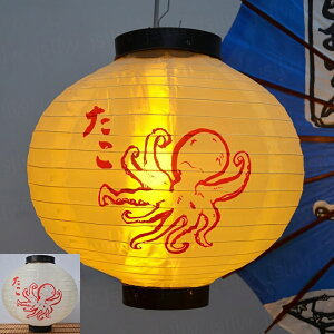  傤 2Zbg 30cm ܂  }O Jj I   ͋ ^R  ی^ Ɩp i hgX X CNX YCxg s YHX CYtFX 