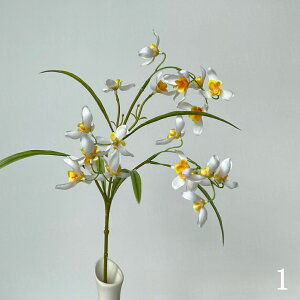    2{ ԃ j  䋟 d  A[gt[ A[eBtBVt[ ϗtA JXj v[g CeA JƏj ̓  tFCNO