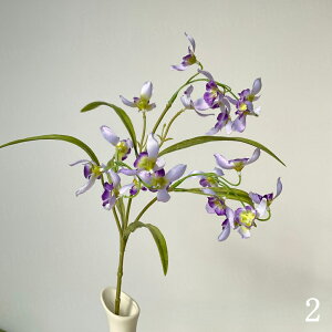    2{ ԃ j  䋟 d  A[gt[ A[eBtBVt[ ϗtA JXj v[g CeA JƏj ̓  tFCNO