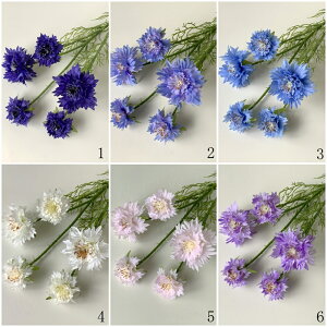  e  3{ O}MN K[x ԋe  䋟 d  A[gt[ A[eBtBVt[ ϗtA JXj Mtg CeA JƏj ̓ tFCNO