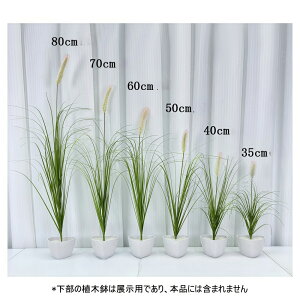 tFCNO[ GmROT 10{ 2F lRWV ^ CeA lHϗtA  L炵  C~e[V Ȃ DIY lHt[ a a_ ؒ ̊ Xg