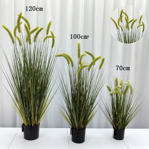 tFCNO[ GmROT 2Zbg 3F lRWV ^ CeA lHϗtA  L炵 t  C~e[V DIY lHt[ a a_ ؒ ̊ 