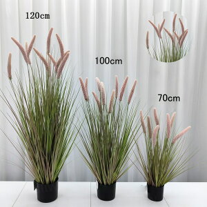 tFCNO[ GmROT 2Zbg 3F lRWV ^ CeA lHϗtA  L炵 t  C~e[V DIY lHt[ a a_ ؒ ̊ 