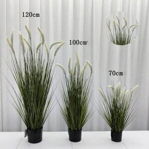 tFCNO[ GmROT 2Zbg 3F lRWV ^ CeA lHϗtA  L炵 t  C~e[V DIY lHt[ a a_ ؒ ̊ 