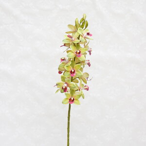 AȃV~[V - Ƃ̑̂߂̌ӒVNt[ 80cm