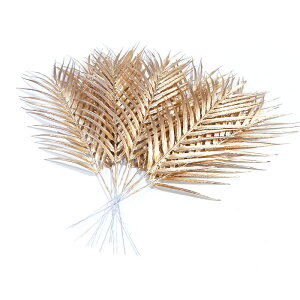 lHV̗tA 10 lHϗtA AJV tFCNO[ A  vX`bN AJp[ [t ԍ }  z[ nCA WO CeA 