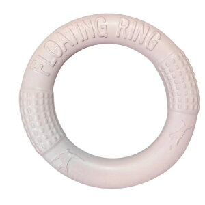   v  OV   ^ ނ ̂  łȂ̂ ^ p  q