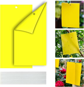 100Zbg  SV[g ߒV[g hV[g QߊlS Aؔ  gbv 悯v[g XeBbL[ Sgbv tCO XeBbL[ Lb`[ nG 