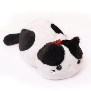 eBbVP[X L ʂ eBbVJo[ eBbV{bNX ݂艺  ˂ ӂӂ 킢