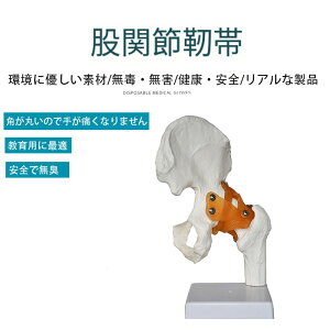 uP20+10%OFFN[|vËpl̍if 6 ֐߁iG֐ߑ֐ߎ֐ߌ֐ߕI֐ߌҊ֐߁jڍ׍\Č UwwKɍœK