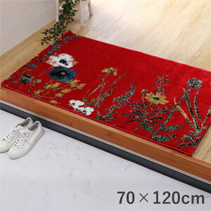 փ}bg 70×120cm bh ԕ {^jJ R hL L v ϋv e͐ gR EBgD