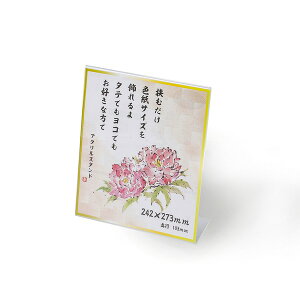 F X^h ANF 273×242mm Fz F z z t[