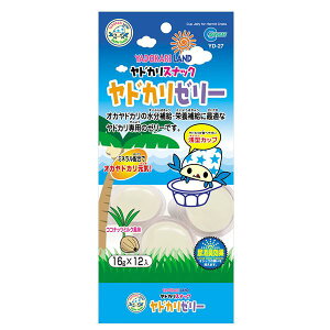 }J hJ[[ 16g×12 ঒ށEރt[h y10Zbgz yp ܂Ƃߔ  Ɩp  Zbg̔z y ybgt[h E ybgpi ybgEybgObY ঒