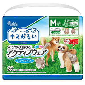 剤 L~ ANeBuEFA M-L 26 ip qpi / Icj y ybgނ ނ ybgpi  pi gC PET  ObY DOG z