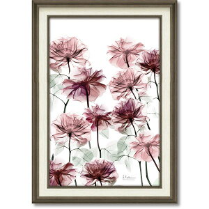 [p[ X-RAYLoXA[g ut[xbhv(MTCY) CeA G