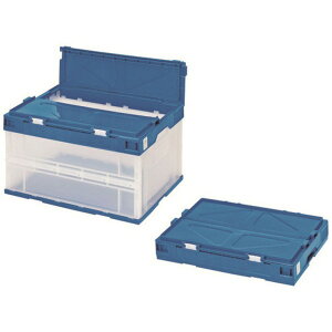 ZLXC I^^~Rei GR^Cv STSF5DB piG݁E[E| [Epi  ItBXpi [ pi Rei