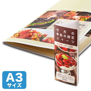 y܂Ƃߔ 5Zbgz TTvC J[[U[p ϐE A3TCY LBP-WPF22MDPN-A3X5 yp ܂Ƃߔ  Ɩp  Zbg̔z v^ PCTvCEՕi R