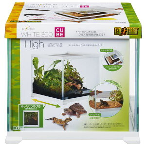 veAzCg 300CUBE High i঒ޗpij y ybgt[h E ybgpi ybgEybgObY ঒ J gJQ  z