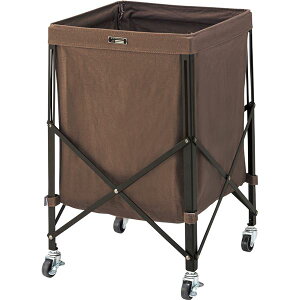 rO[ 36×s36×56cm uE X`[ tH[fBO oXPbg S CeAƋ gi i |pi [Epi G ItBXpi piG p