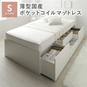 {t `FXgxbh [Eot xbh ʏVO yt[FF  zCg z ^Y|PbgRC}bgXt |PbgRC [Eot [xbh I